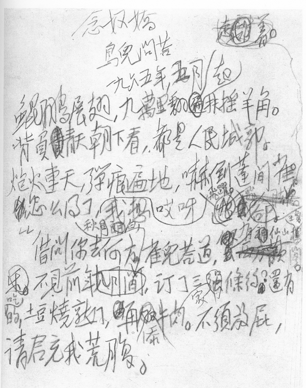 鸟儿问答相关图片